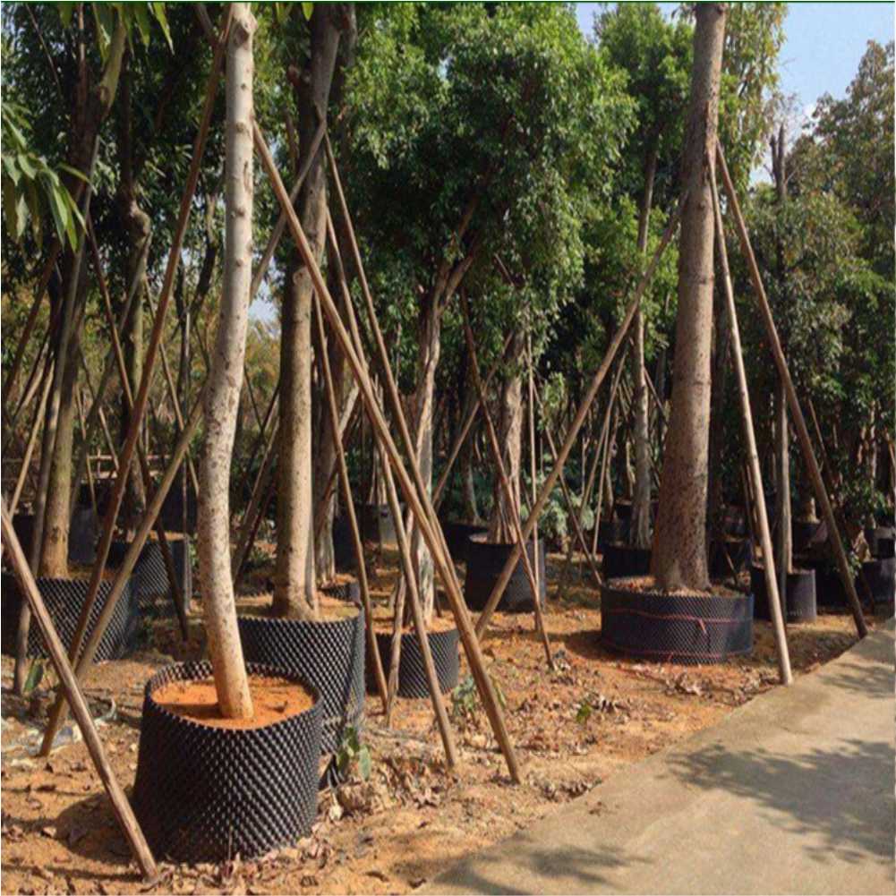 Grow Container Garden Tree Bon - Garden Tools ulasan dan harga